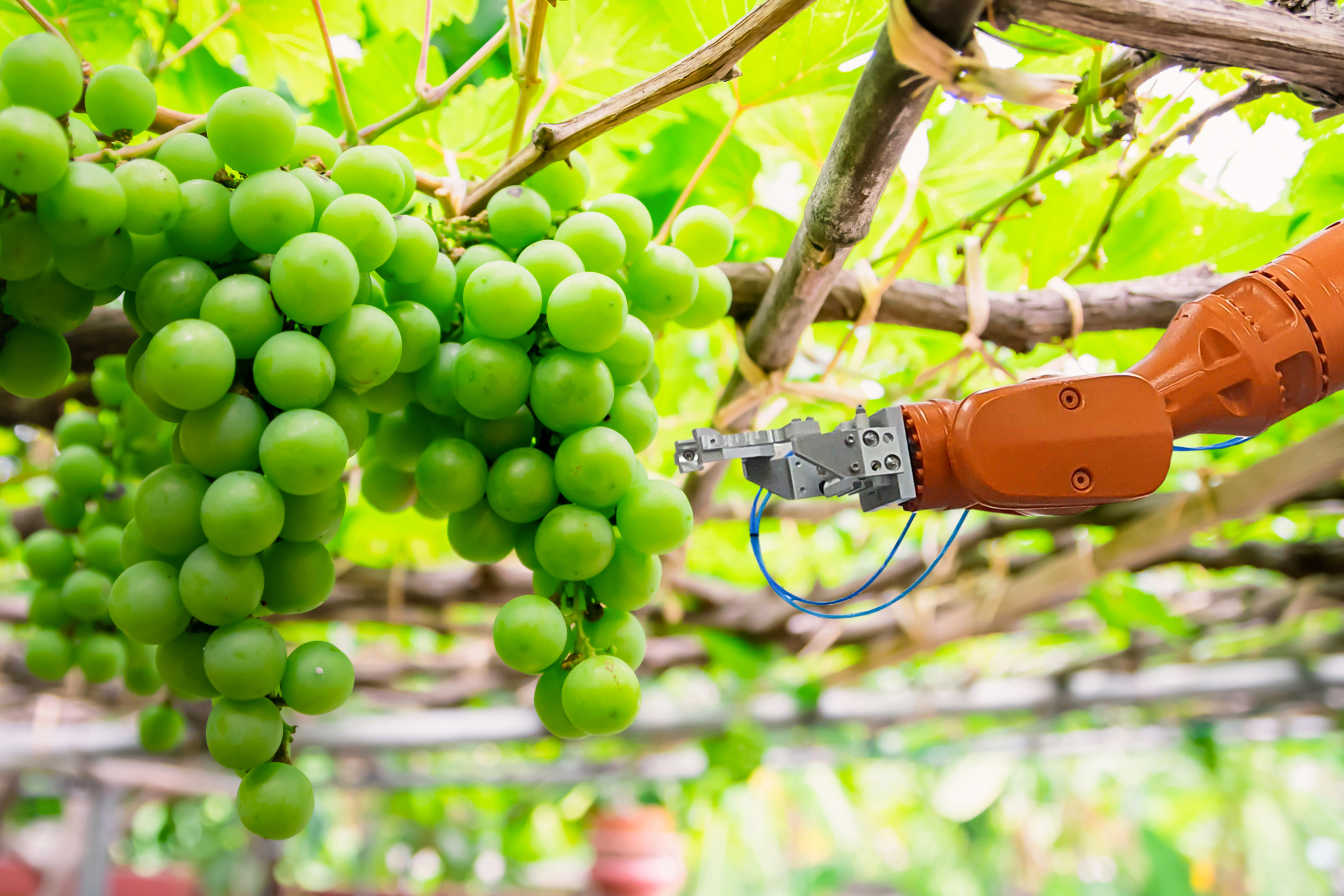 Cellular enabled robots in agriculture