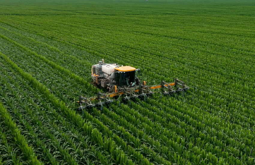 Enhancing Crop Yield Forecasting with Cellular Connectivity powered by Webbing