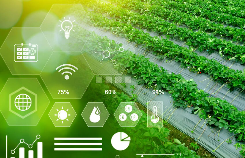 How Cellular Connectivity Helps Increase Productivity in Agriculture