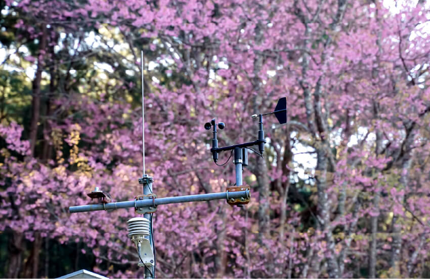 Smart cities rely on cellular connectivity to collect and transmit real-time data about urban conditions